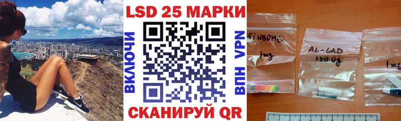 Купить закладки  Багратионовск  Наркотические марки 1,8мг 