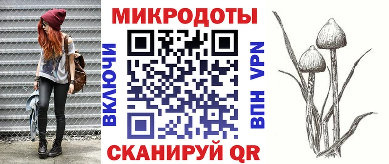 Купить где  Багратионовск  Псилоцибиновые грибы Psilocybe 